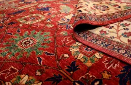 cleaning carpet